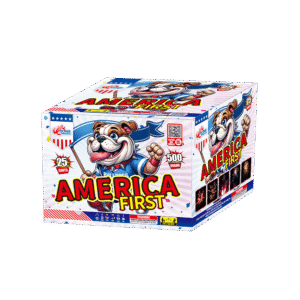AMERICA FIRST