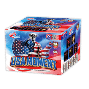 USA MOMENT