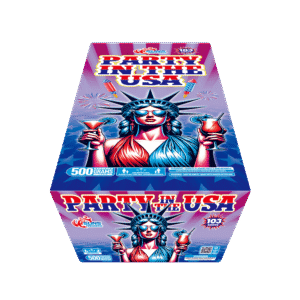 PARTY IN THE USA