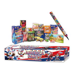 AMERICA PARTY