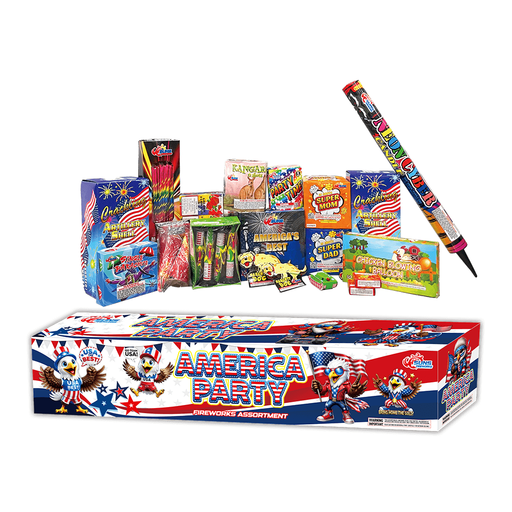 AMERICA PARTY