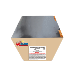 SS-PR010