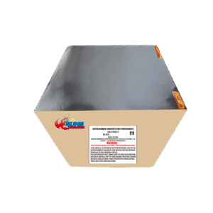 SS-PR011