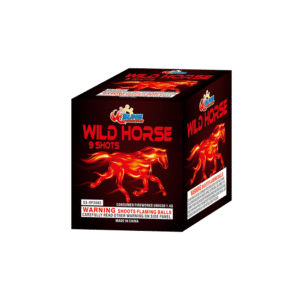 WILD HORSE
